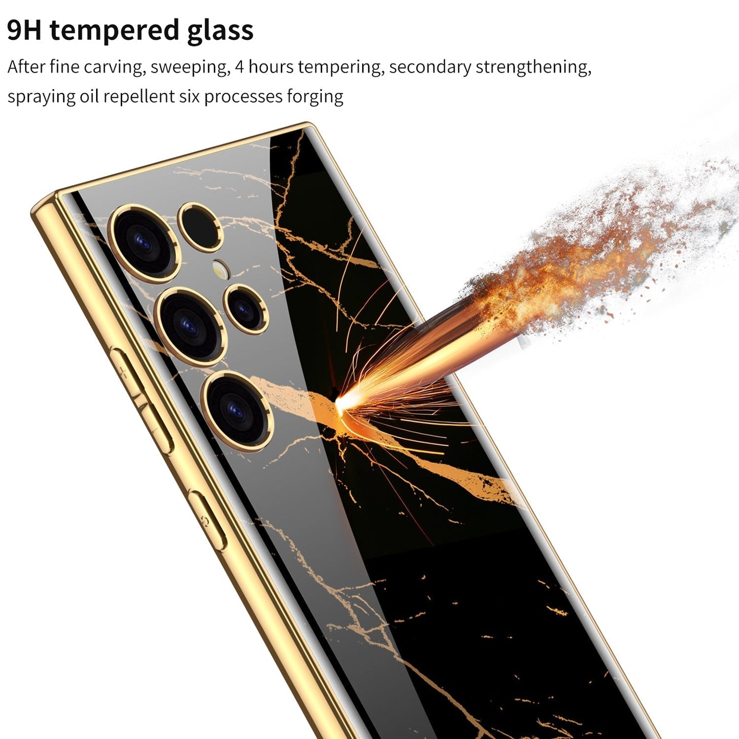 Samsung S24 Plus Cover : Majestic Lion
